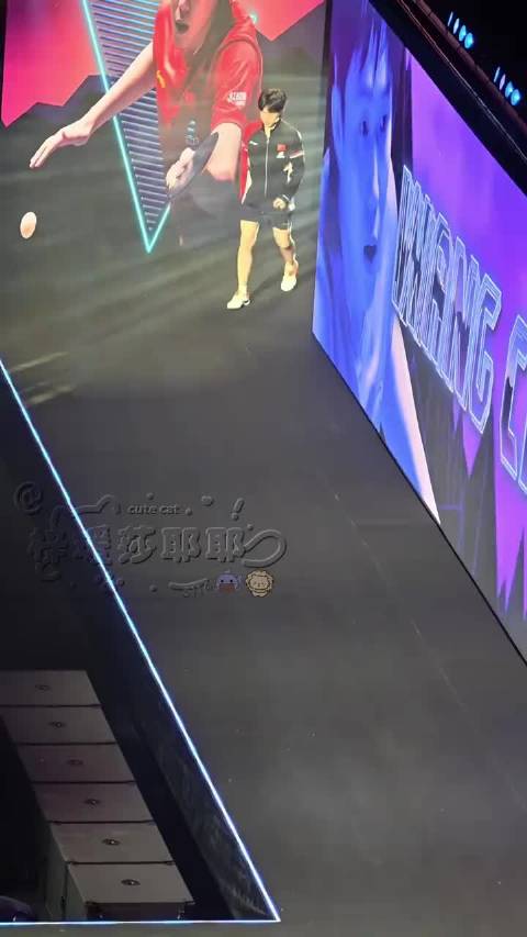 莎头组合王楚钦孙颖莎带伤完赛，2026年再战