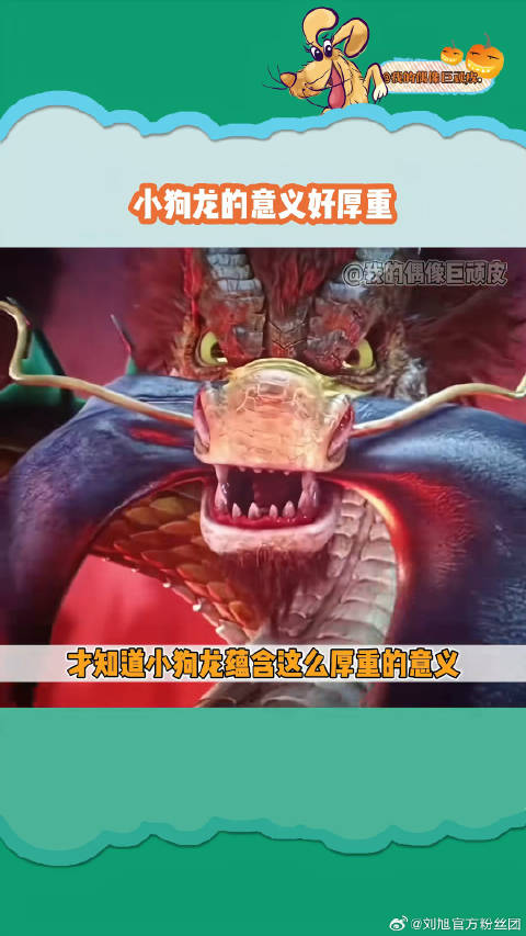 离家太久以至于都忘记怎么飞了，小龙小龙快回家吧！微博VC计划