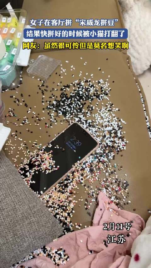 女子在客厅拼“宋威龙拼豆”，结果快拼好的时候被小猫打翻了