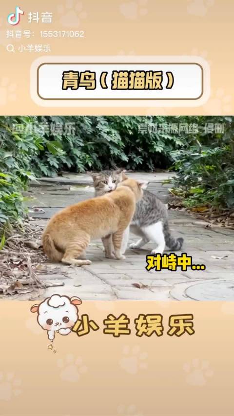 喵喵哪吒对话意外引燃冲突