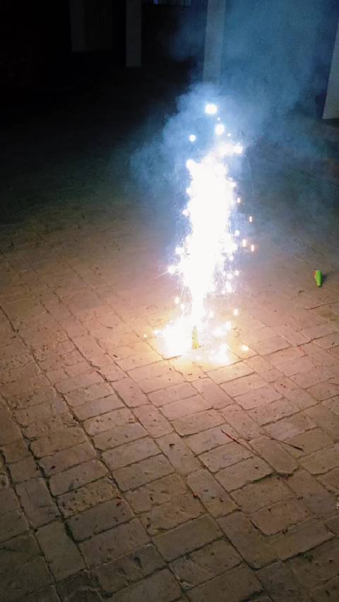 春节回家惊喜现身，姐妹俩放烟花迎团圆