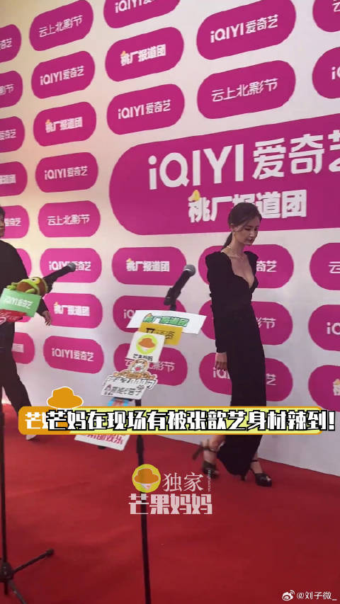 张歆艺 桃厂报道团