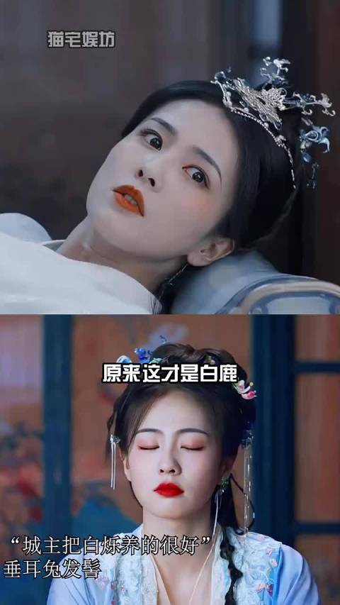为何白鹿拍摄古装剧睡觉“不摘头饰”？