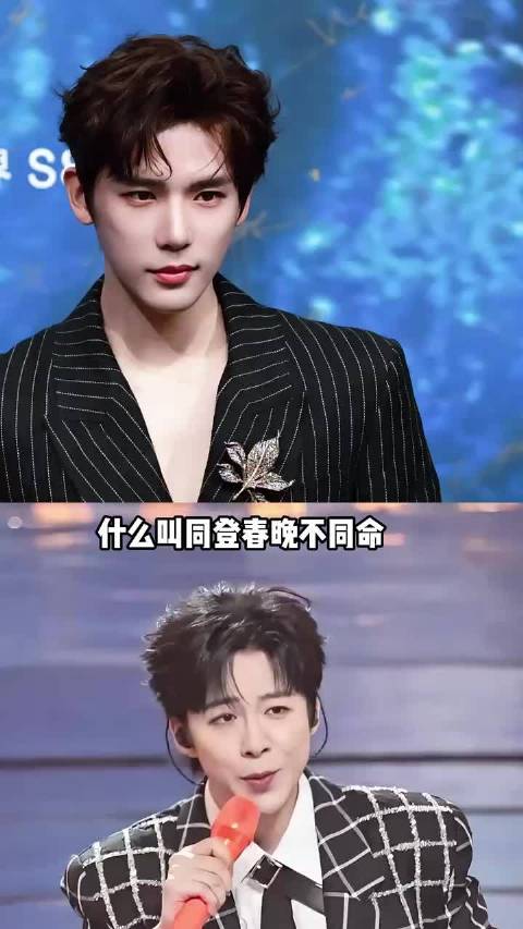 刘宇宁一年三部破万剧，王安宇丁禹兮表现亮眼