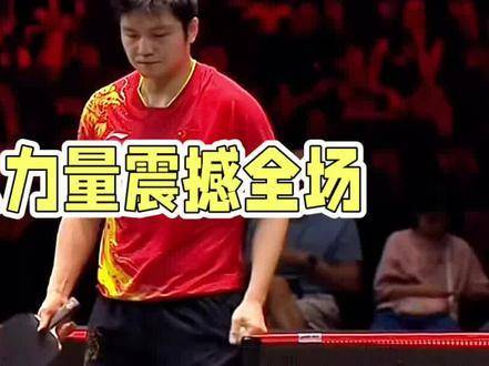 樊振东闪耀赛场，国乒荣耀时刻 乒乓