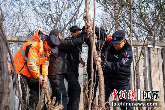 2月11日，南京铁路公安处镇江站派出所民警和铁路工作人员对侵入铁路栅栏内的树木进行清理。胡睿 摄