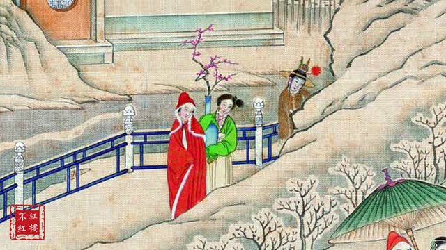 戏说《红楼梦》：老梅遇红梅 中国学文化卷小说册红楼梦篇