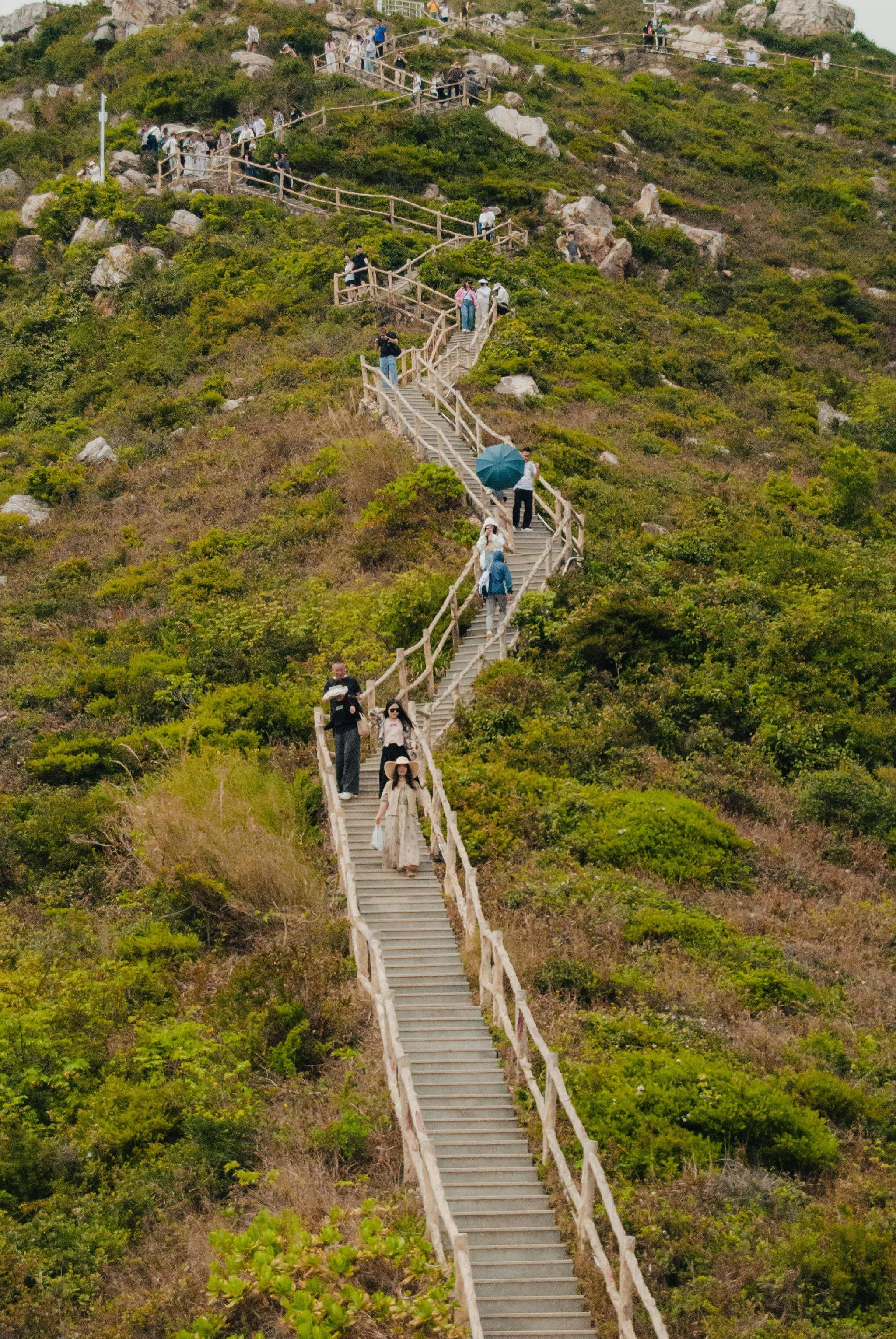 杨紫琼加盟《流浪地球3》,科幻巨制再掀热潮!