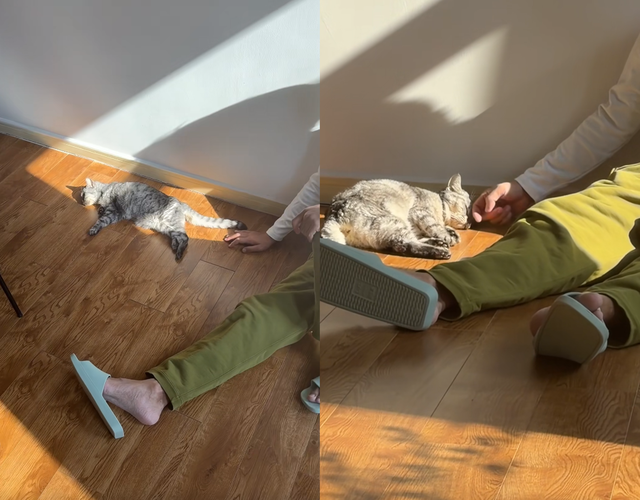 王冠晒视频老公罕见出镜，透露爱人是北京人，婚后为她定居在上海