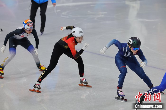 王欣然犯规无缘女子500米半决赛