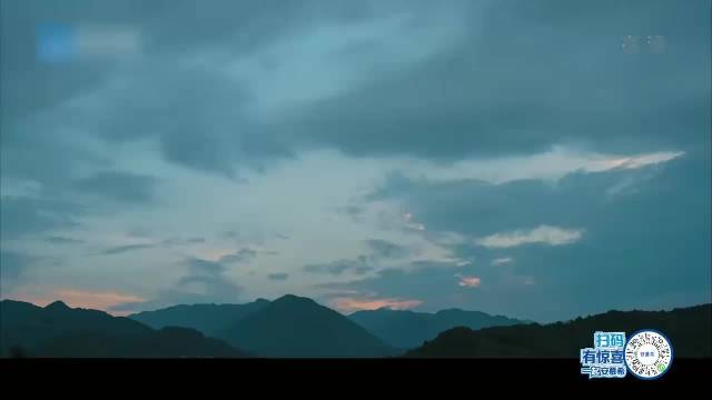 李晨师父叫的太快，下秒凌云一句话，郑恺嘲讽：自作多情