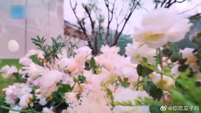 汪苏泷演唱《万有引力》，众人纷纷互动，节目效果拉满