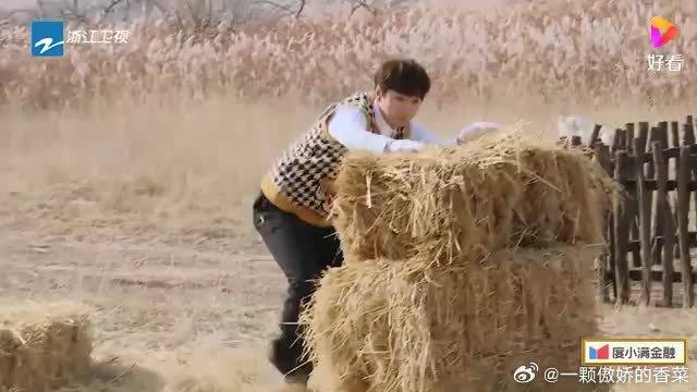 汪苏泷有多搞笑？节目中化身“推土机”，所到处寸草不留