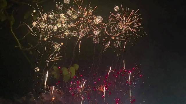 宋威龙粉丝自制视频获丈夫家务支持