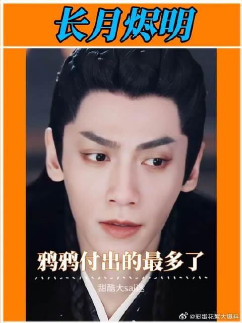 乌鸦：鸦鸦我呀，就是最惨的打工鸟了