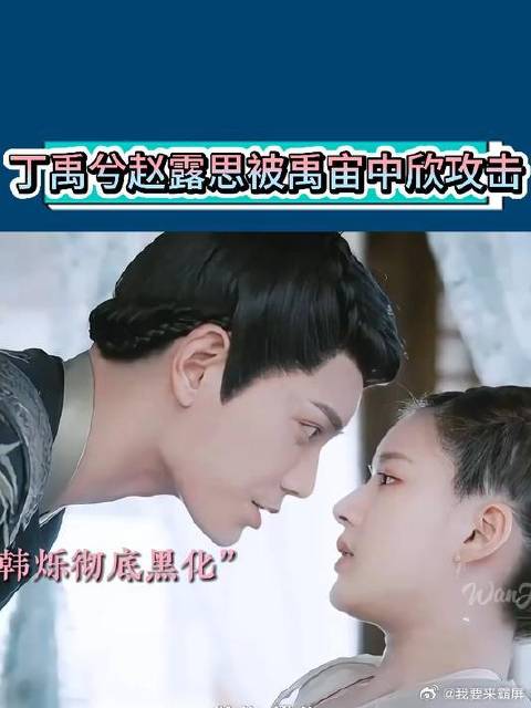 丁禹兮赵露思被禹宙中欣攻击