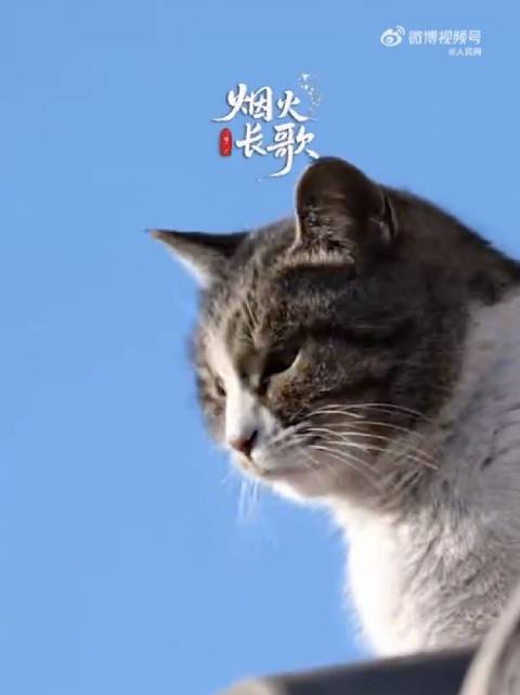 宋茜以热爱坚守诠释人生主演姿态