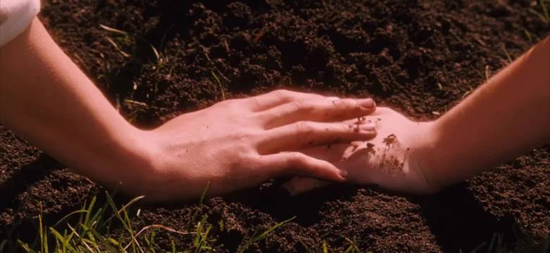 用206秒重温Bryce心动的时刻 | 《怦然心动》 斯人若彩虹，遇上方知有