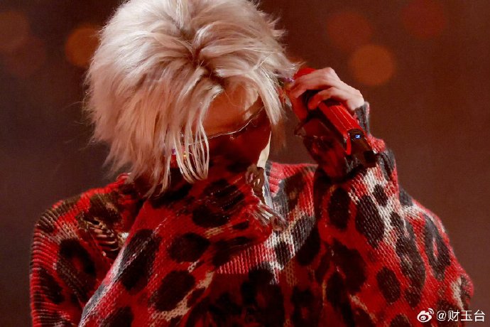 粉丝对于华晨宇打造永久性演艺综合体的评价如何？