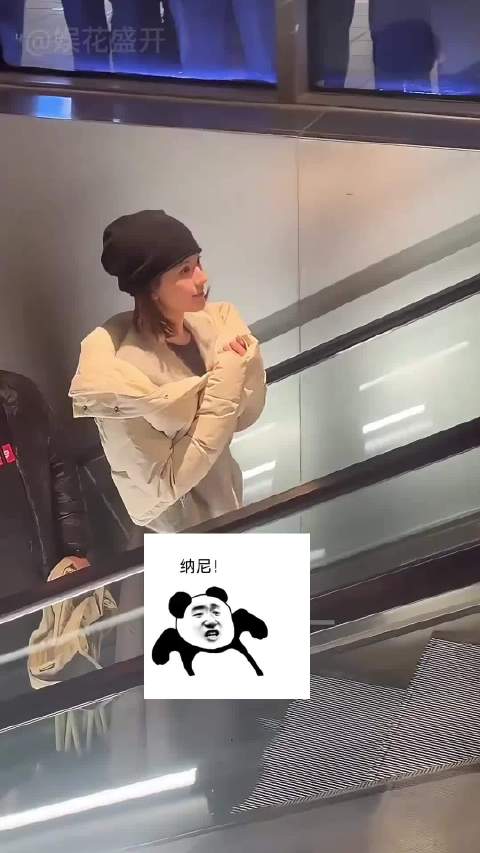 吴京当场发飙赵露思躲避路人拍摄