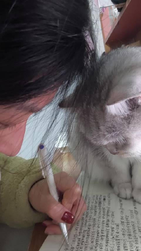 认真学习的我和认真看我学习的喜宝