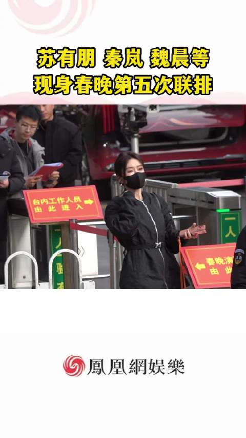 苏有朋秦岚等现身央视马年春晚第五次联排