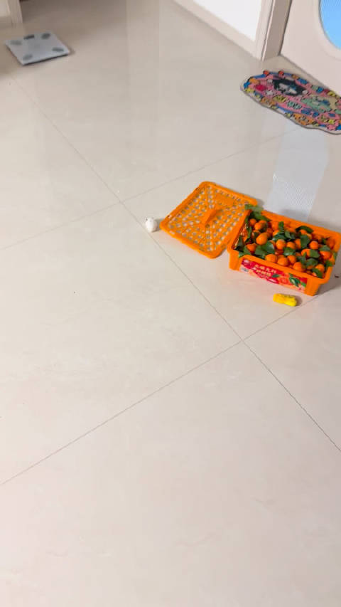 鼠鼠不是越狱了就是刚越狱