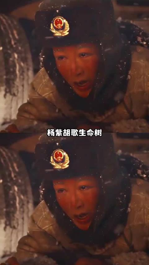 杨紫生命树豆瓣8.1分，迪丽热巴作品均未超7分