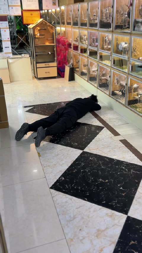 如何买到一只会功夫的龙猫？