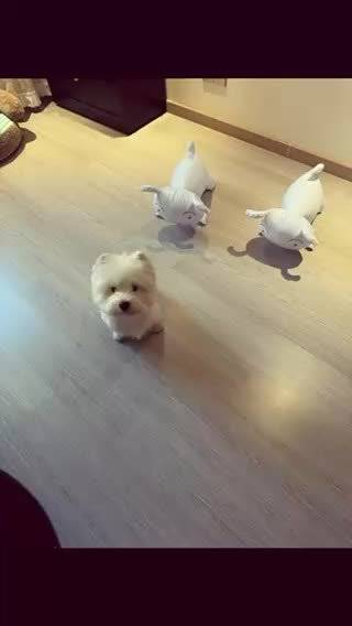 一博在我心中形象