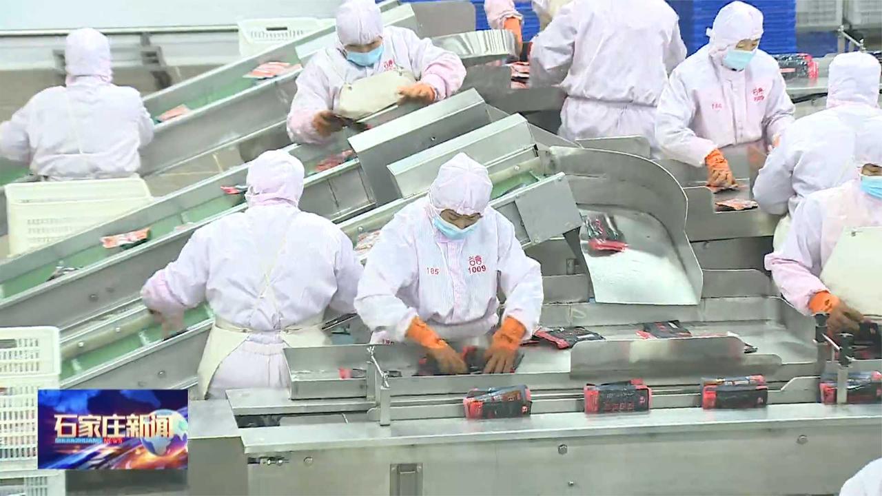 全力冲刺“开门红”丨石家庄市现代食品企业按下生产“加速键”