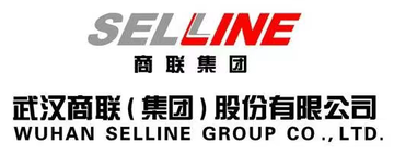 武汉商联(集团)股份有限公司[2007年成立的公司]