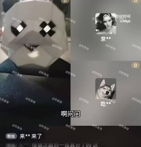 刘大锤爆料宋轶白敬亭感情生变