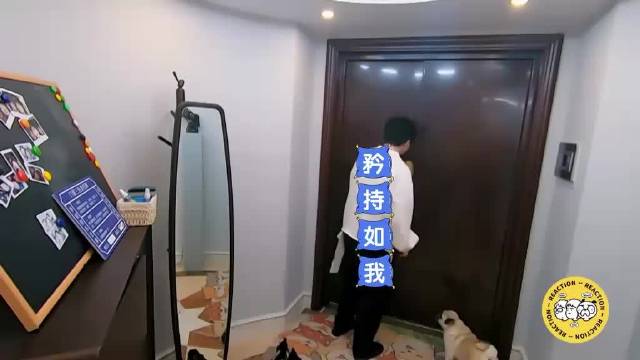 杨幂气场太强大，吓得李雪琴毛不易不敢坐，秒变服务员 毛雪汪