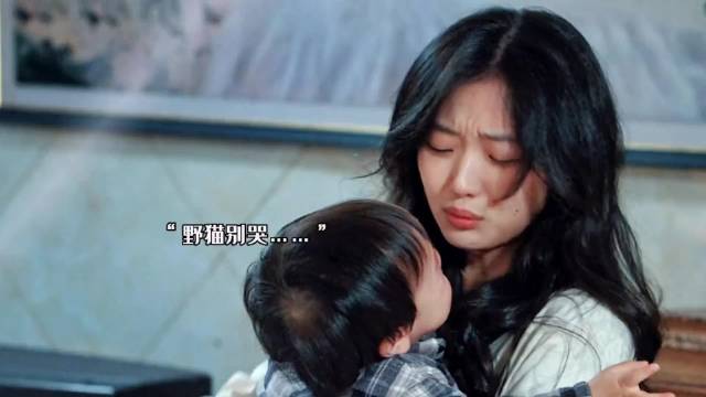 风吹半夏:看到野猫崩溃到哭好心碎 就会想到每个带孩子的妈妈 赵丽颖 欧豪
