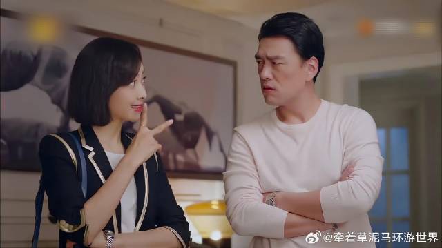 招桃花发情期，贺繁星建议去做绝育