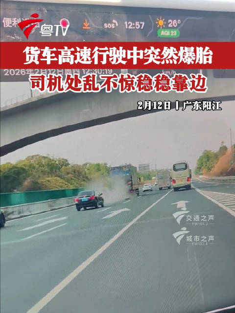 货车高速行驶中突然爆胎，司机处乱不惊稳稳靠边