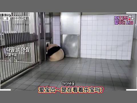 姜爸爸默默守护爱宝显真情