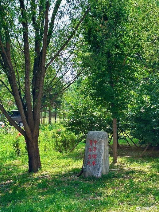 针对演员因健康调整角色一事，业界和公众有何主要看法？