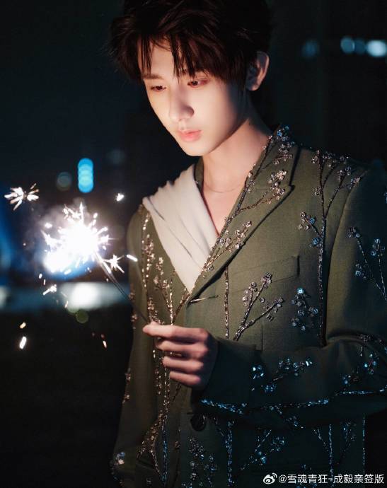 粉丝为什么说成毅的vlog风格是‘独一份的浪漫’？