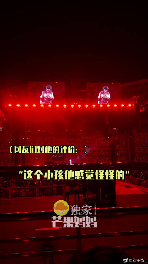 华晨宇 演唱会现场回应了大家说他怪的评价...华晨宇演唱会