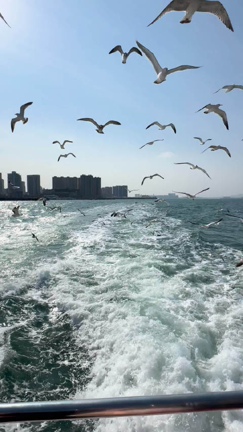 我要去杭州场@李荣浩 给大家分享一下海鸥