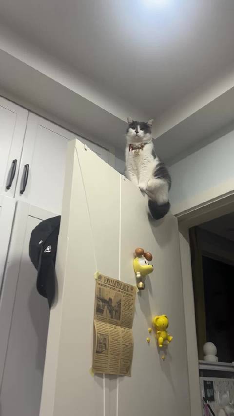 奔驰嘴登机 所有人打看声音听我的小巧思