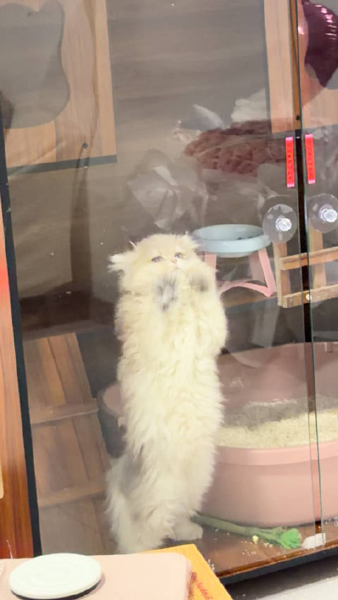 别想越狱了好吗