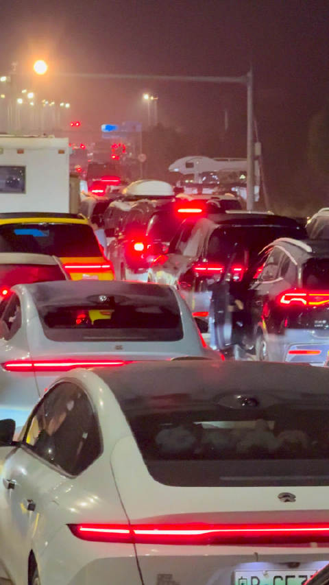 海安新港过海排队扎进理想窝，前前后后这一片得有20%的理想！