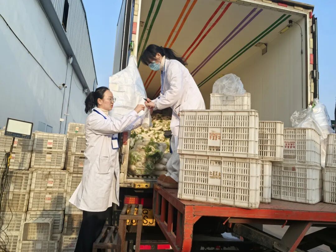 从一颗莴苣的“春运”日记看“舌尖保卫战”