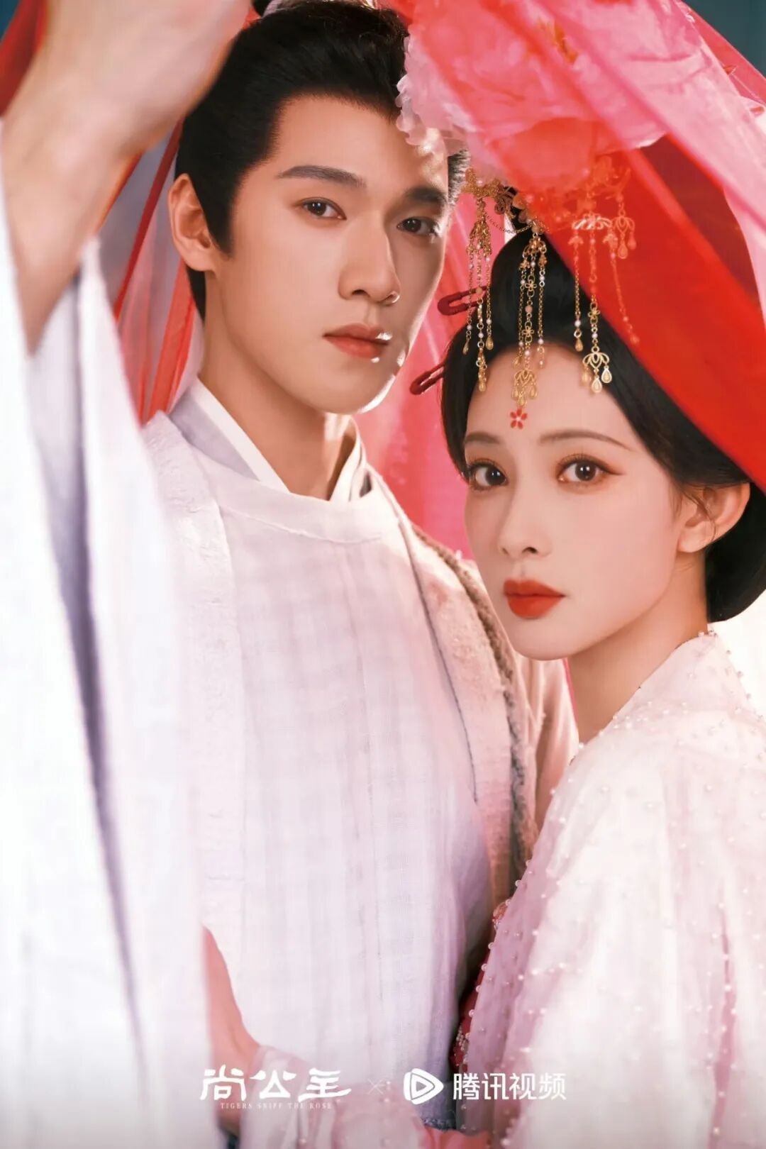 明星要来了！古装剧《尚公主》将在阳春拍摄