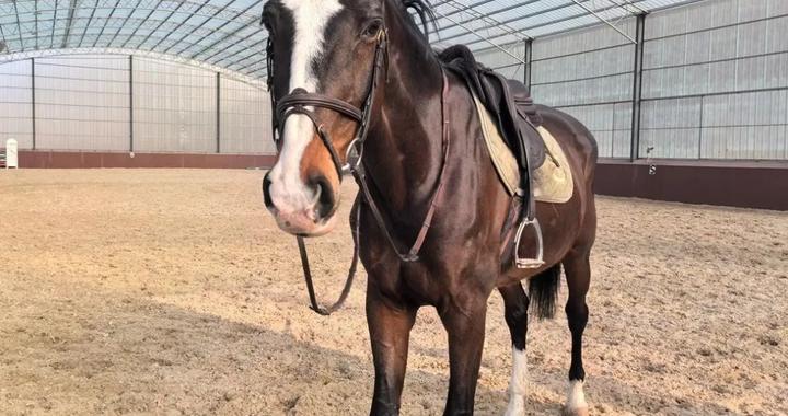 今晚，看于适和大连“宝马”！