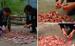 老人墙壁内暗藏一生积蓄 3年后7万现金烂成“渣”(图)