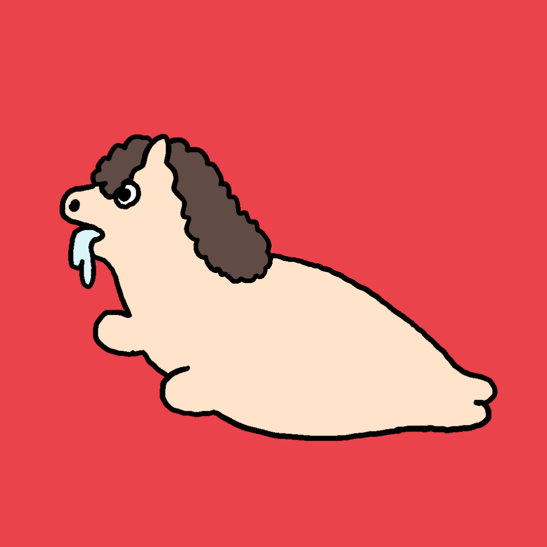 海豹头像｜喜庆的